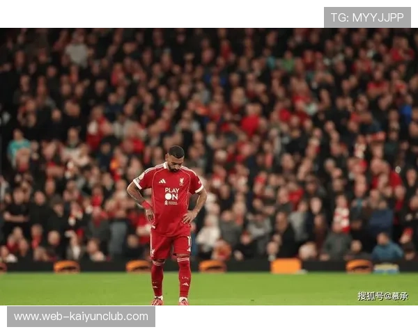 利物浦萨拉赫快速反击打入精彩进球